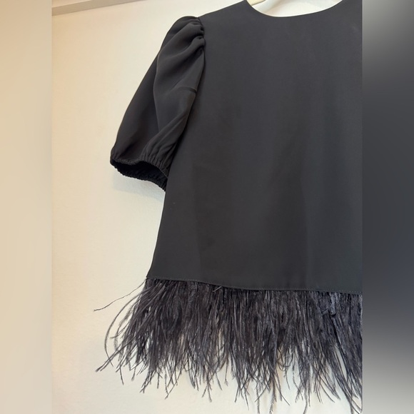 NWT English Factory Feather Edge Puff Sleeve Top - Picture 5 of 10